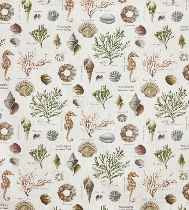 St Helier Fabric by Prestigious Textiles Seaweed