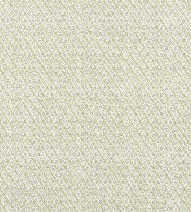 St John Street Trellis Fabric by Designers Guild Willow
