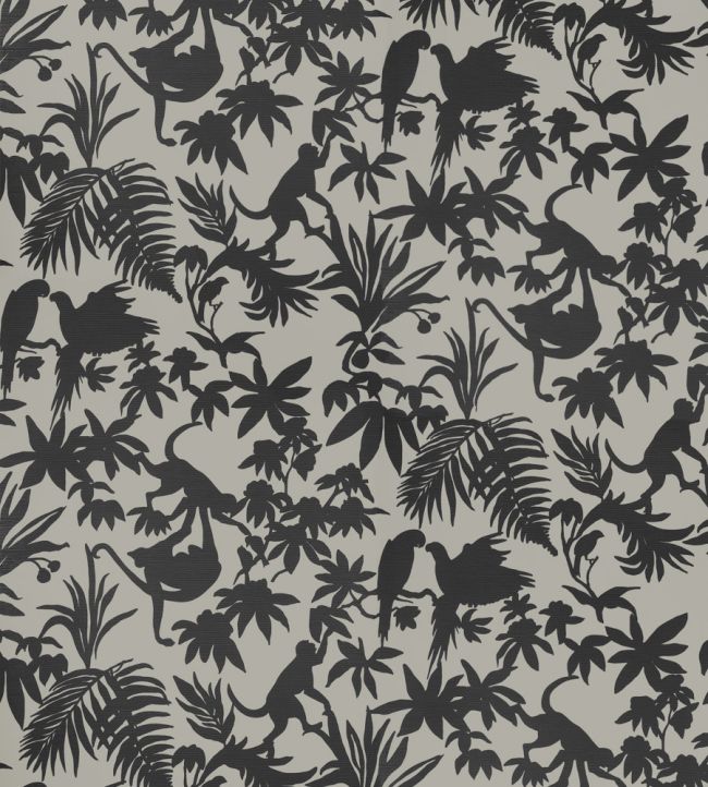 St. Kitts Wallpaper by Thibaut Black and Tan
