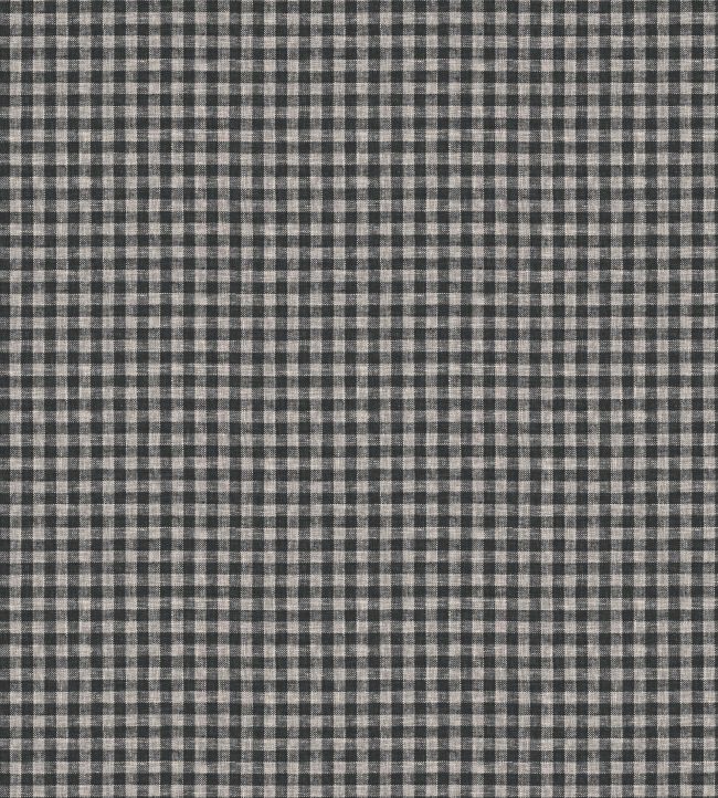 Staithes Fabric by Warwick Charcoal