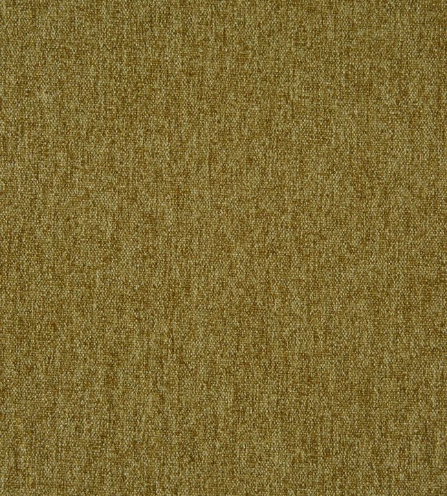 Stamford Fabric by Prestigious Textiles Grass