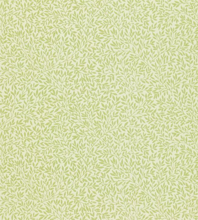Standen Wallpaper by Morris & Co Fennel