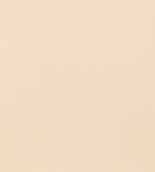 Stanton Linen Fabric by GP & J Baker Chalk
