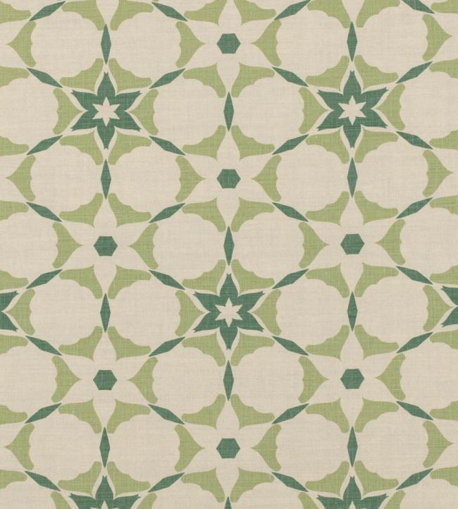 Stellar Fabric by Vanderhurd Green Mist/Natural