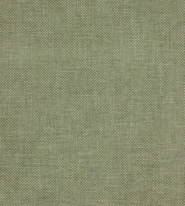 Stratford Fabric by Colefax and Fowler Leaf Green