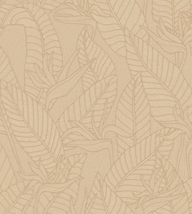 Strelitzia Wallpaper by Arte Abaca