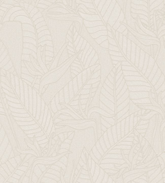 Strelitzia Wallpaper by Arte Alabaster