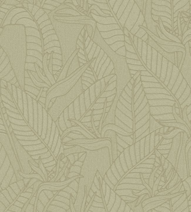 Strelitzia Wallpaper by Arte Olive
