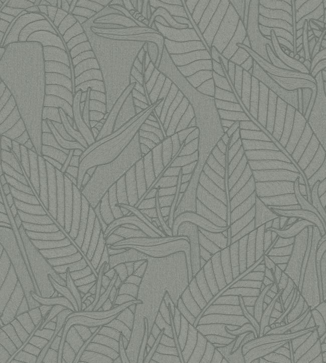 Strelitzia Wallpaper by Arte Teal