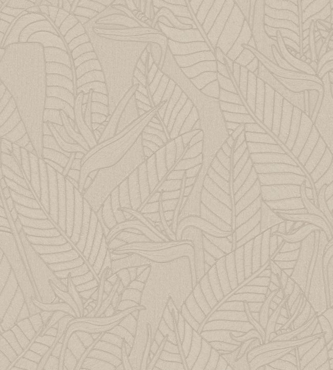 Strelitzia Wallpaper by Arte Zinc