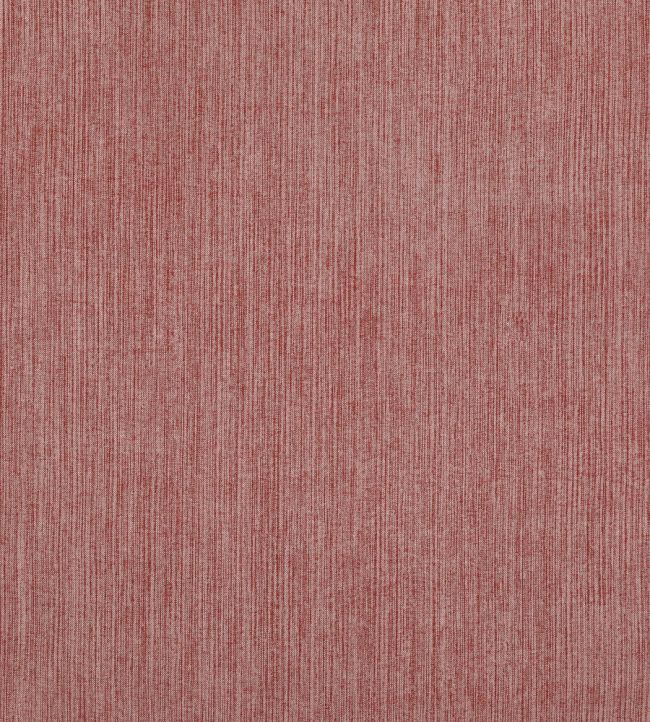 Strie Fabric by Fermoie Professor