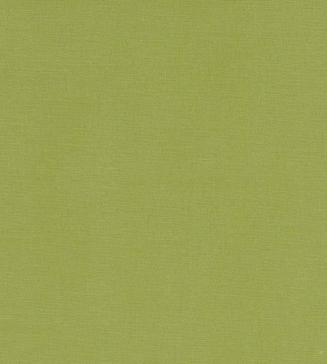 Alora Fabric by Studio G Apple