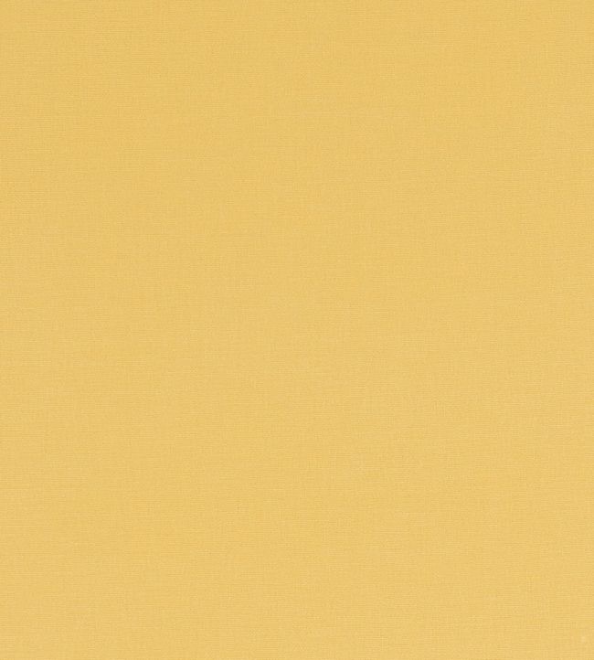 Alora Fabric by Studio G Buttercup