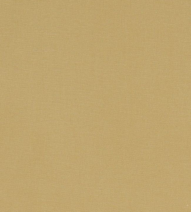 Alora Fabric by Studio G Malt