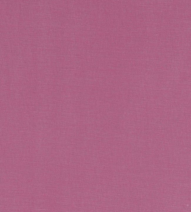 Alora Fabric by Studio G Sorbet