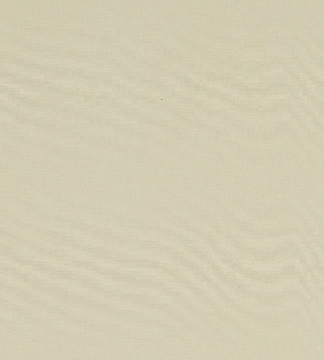 Alora Fabric by Studio G Stone