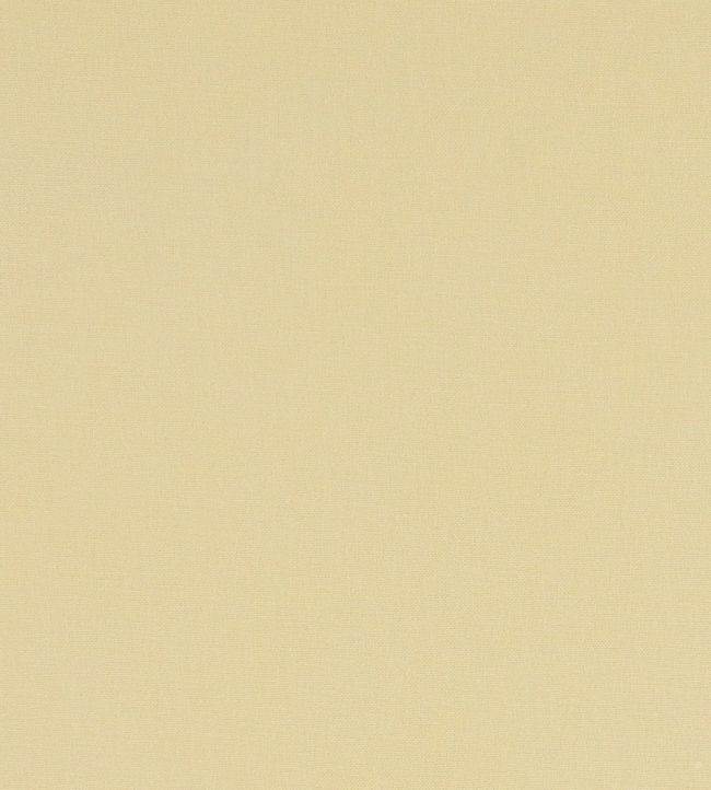 Alora Fabric by Studio G Straw