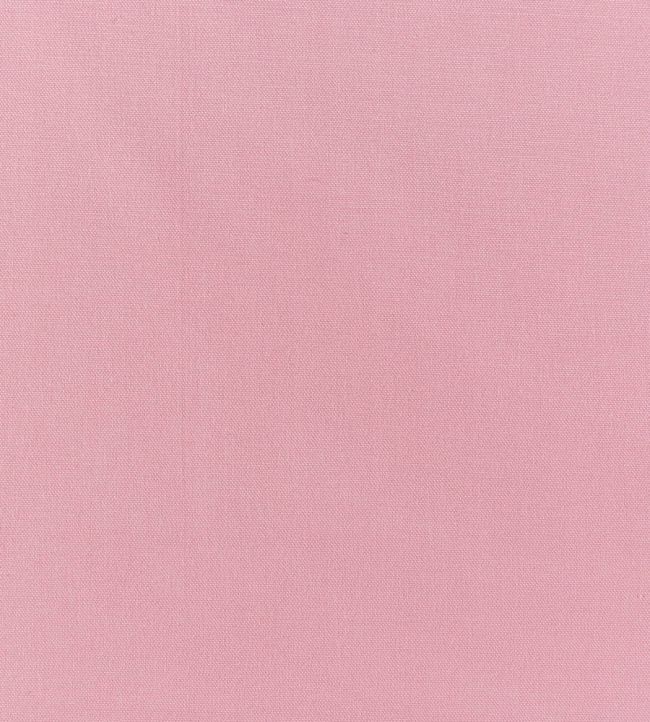 Style Fabric by Prestigious Textiles Bon Bon