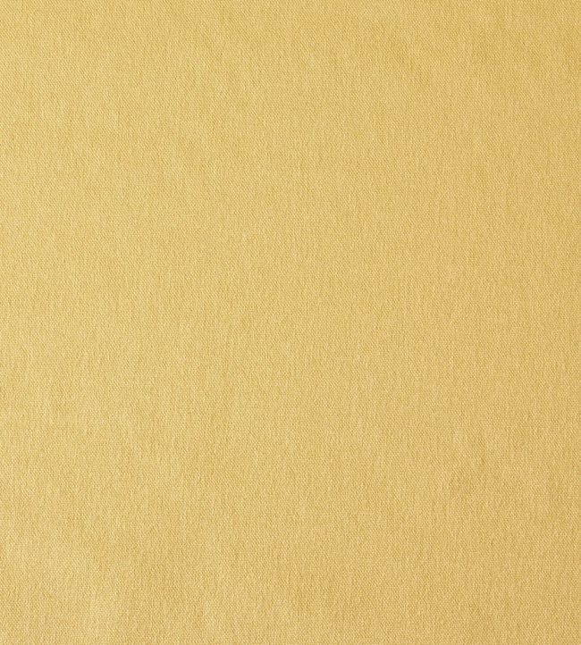 Style Fabric by Prestigious Textiles Caramel