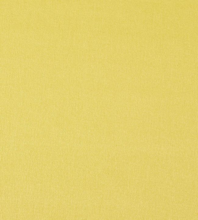Style Fabric by Prestigious Textiles Citrus