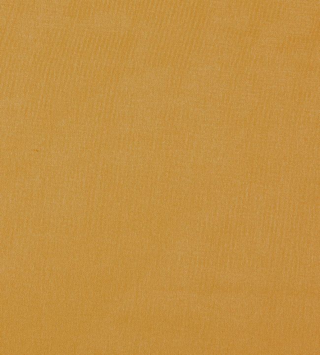 Style Fabric by Prestigious Textiles Honey