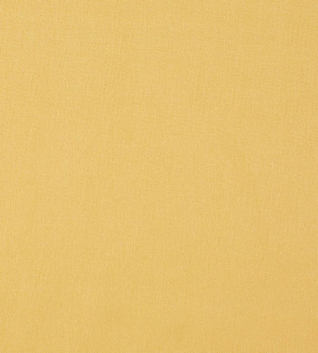 Style Fabric by Prestigious Textiles Lemon Drop