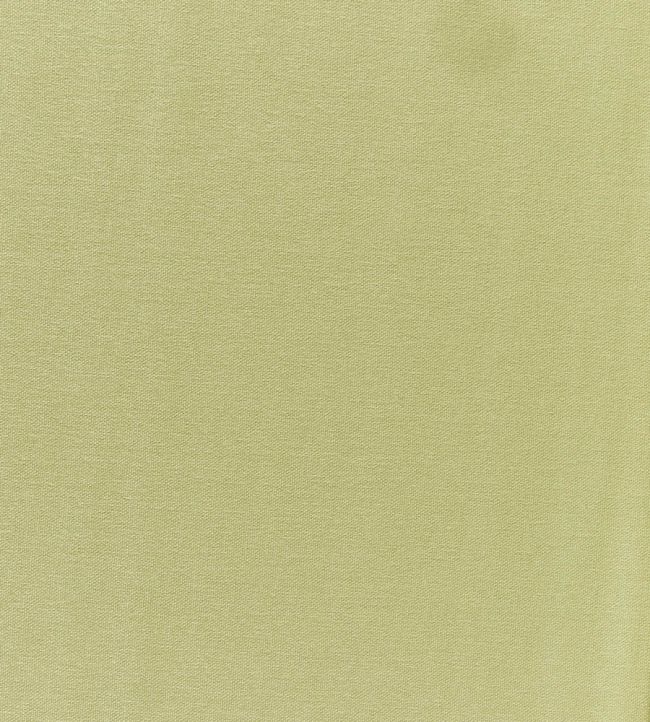 Style Fabric by Prestigious Textiles Pear