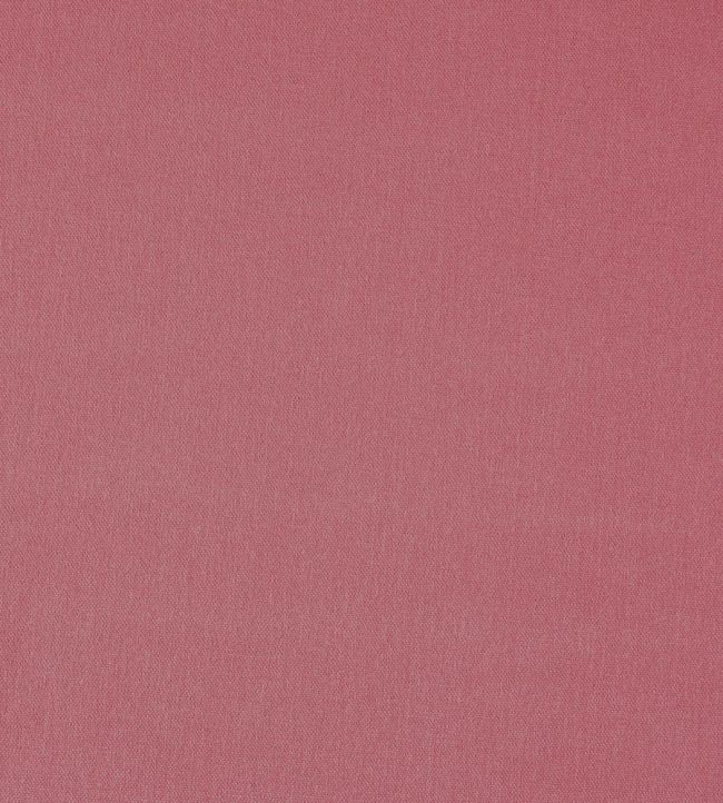 Style Fabric by Prestigious Textiles Rosebud