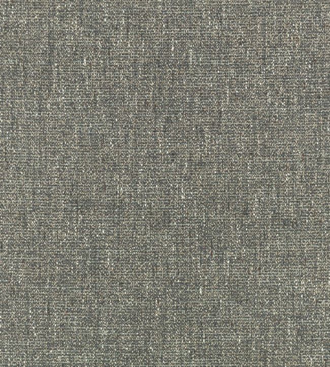 Sula Fabric by Romo Thunder