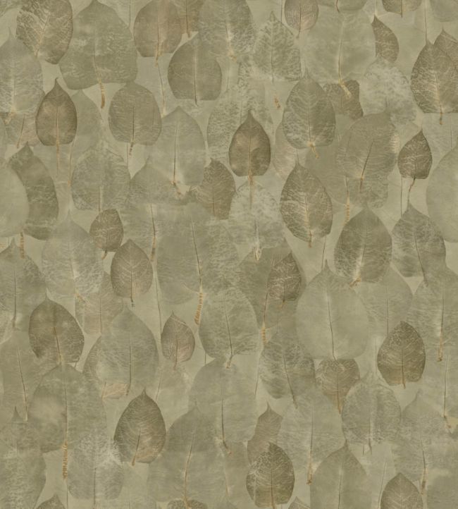Suman Wallpaper by Coordonne Moss