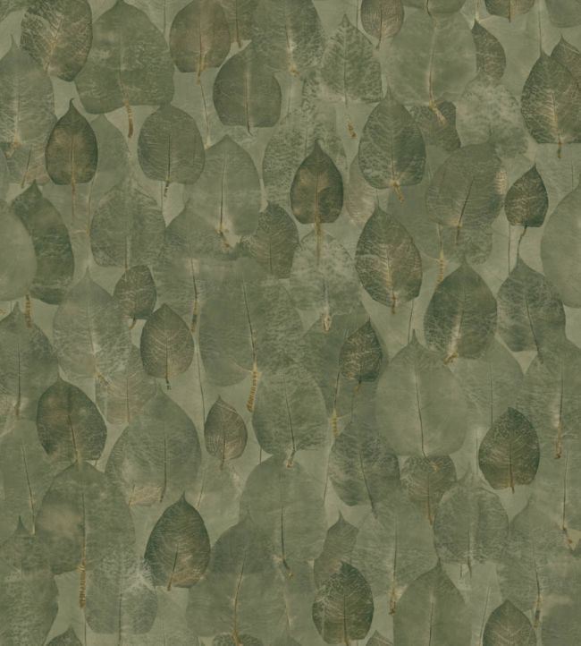 Suman Wallpaper by Coordonne Pistachio