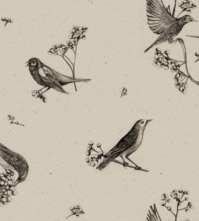 Sweet Birds Wallpaper by Coordonne Black
