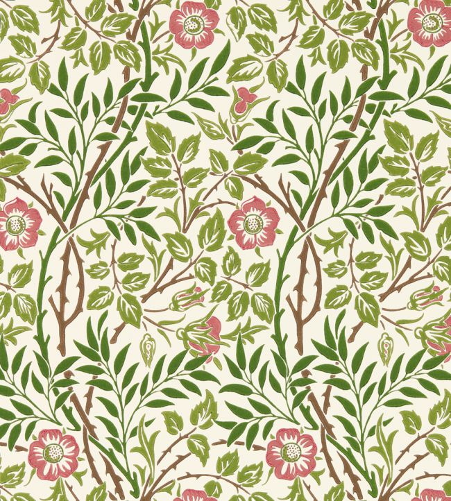 Sweet Briar Wallpaper by Morris & Co Boughs/Rose