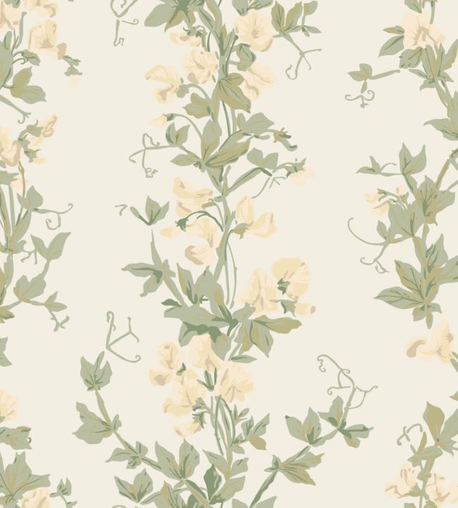 Sweet Pea Wallpaper by Farrow & Ball Cool