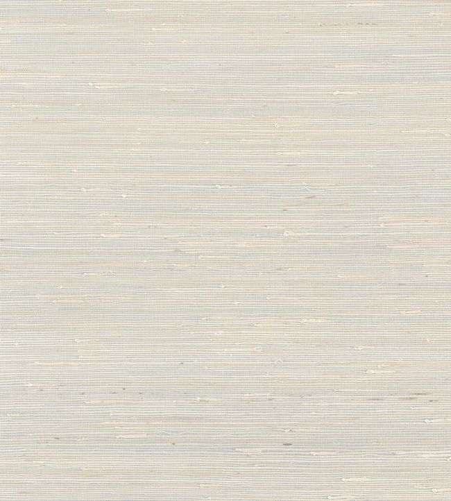 Sydney Wallpaper by Thibaut Coventry Grey