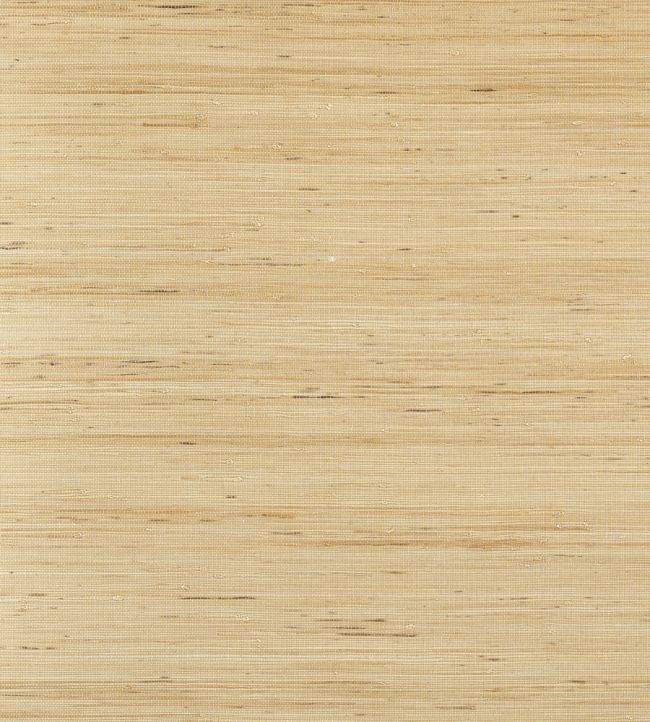 Sydney Wallpaper by Thibaut Light Taupe