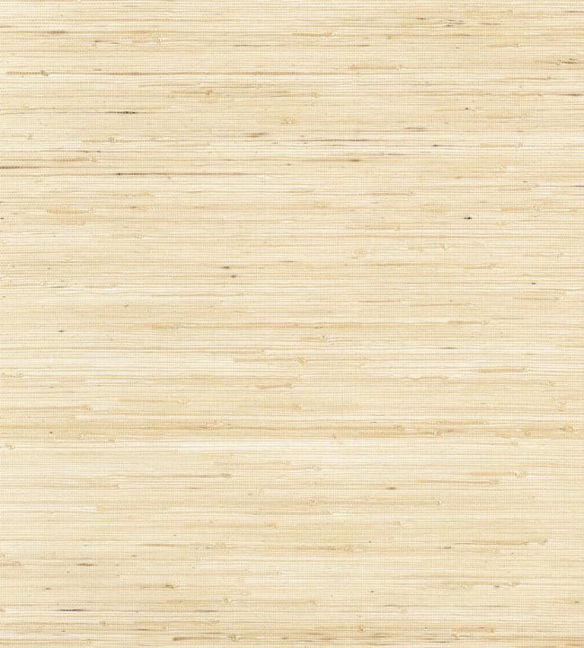 Sydney Wallpaper by Thibaut Paperwhite