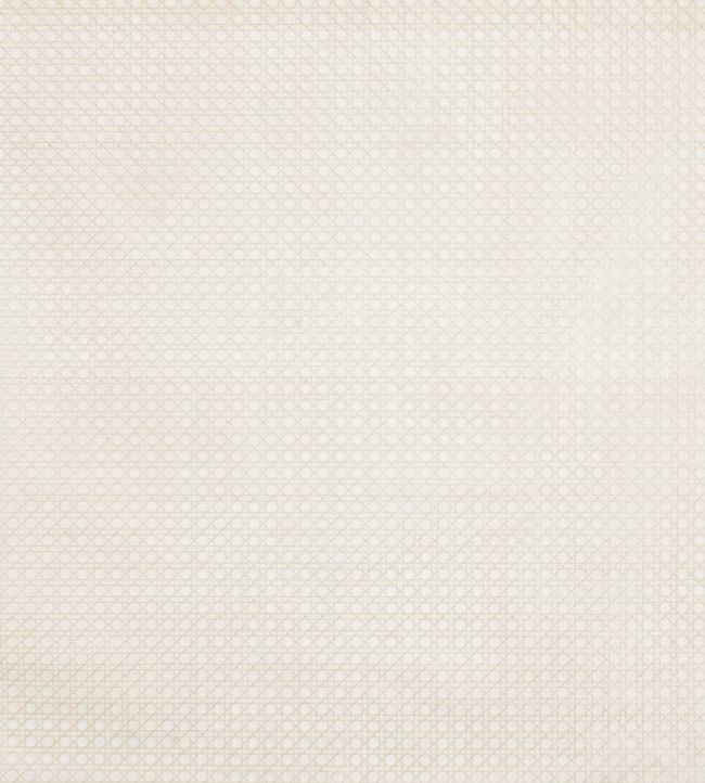 Symmetry Fabric by Prestigious Textiles Hessian