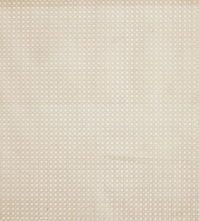 Symmetry Fabric by Prestigious Textiles Husk