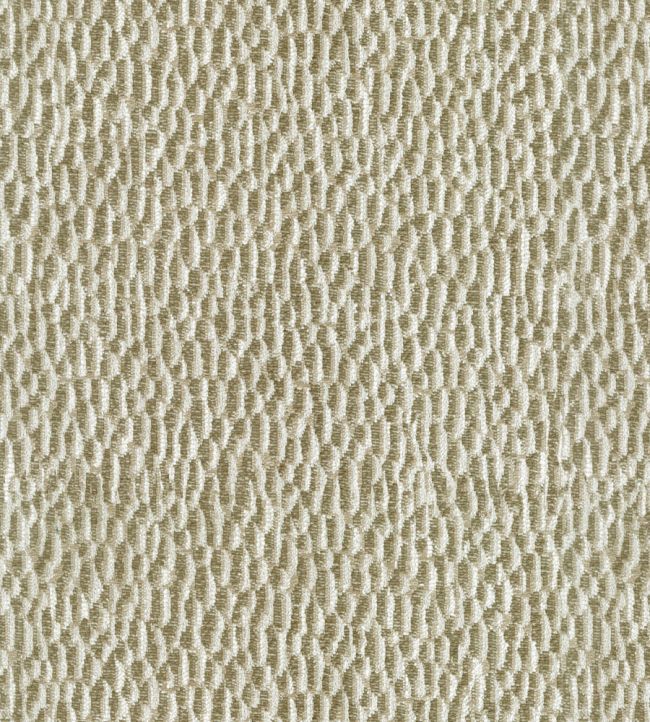 Taal Fabric by JORO Coffee
