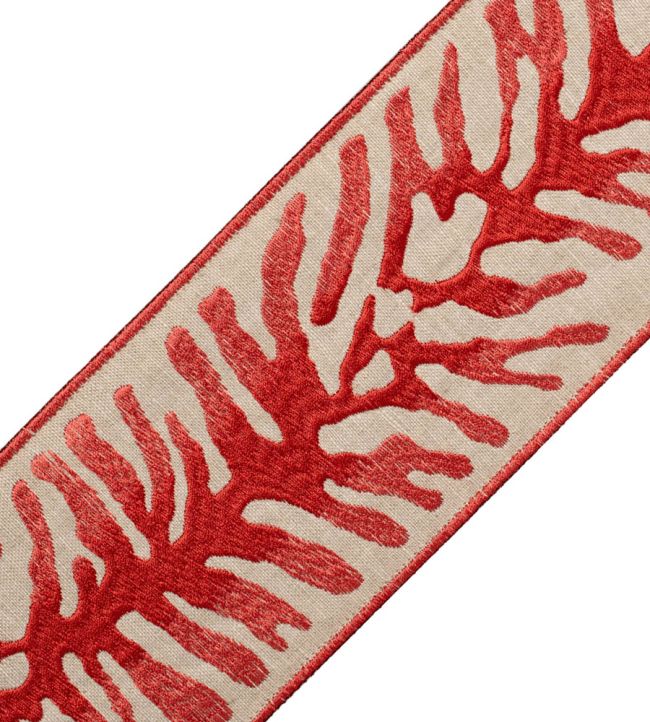 Tahiti Embroidered Border Trimming by Samuel & Sons Coral