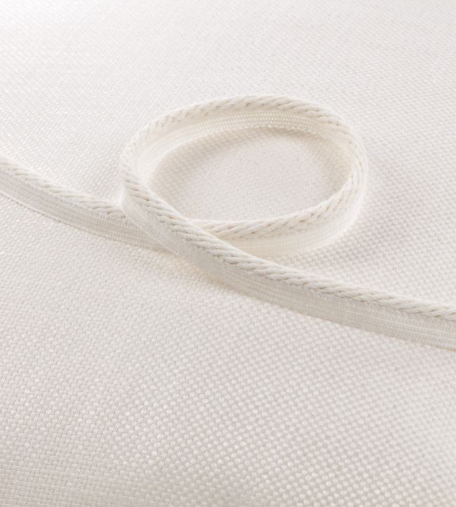 Tana Cord Trimming by Romo Egret