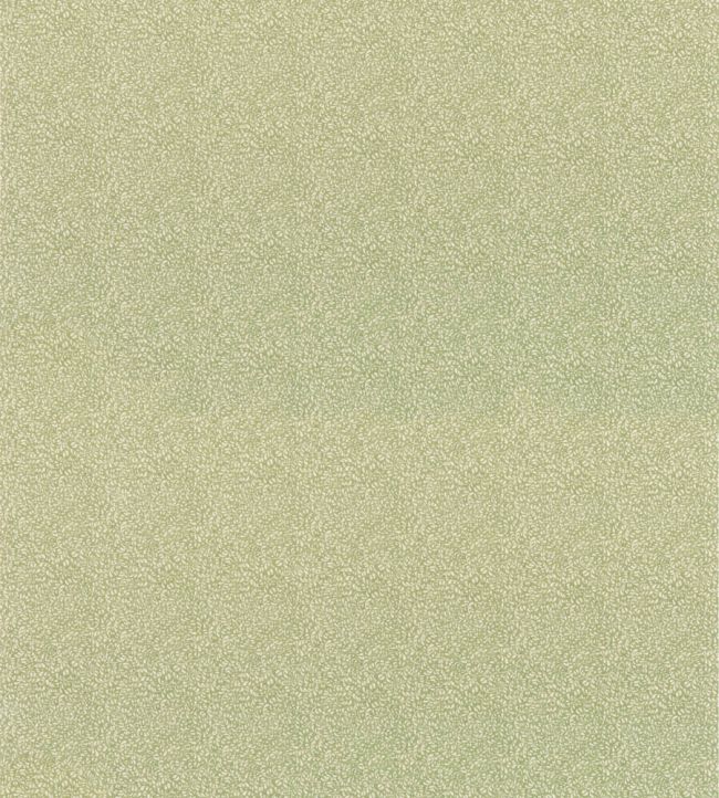 Tansy Fabric by GP & J Baker Green