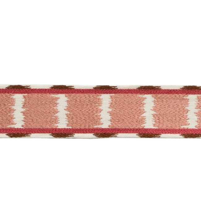 Taos Embroidered Border Trimming by Samuel & Sons Cactus Bloom