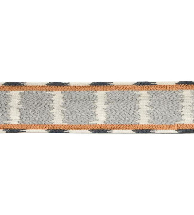 Taos Embroidered Border Trimming by Samuel & Sons Horizon