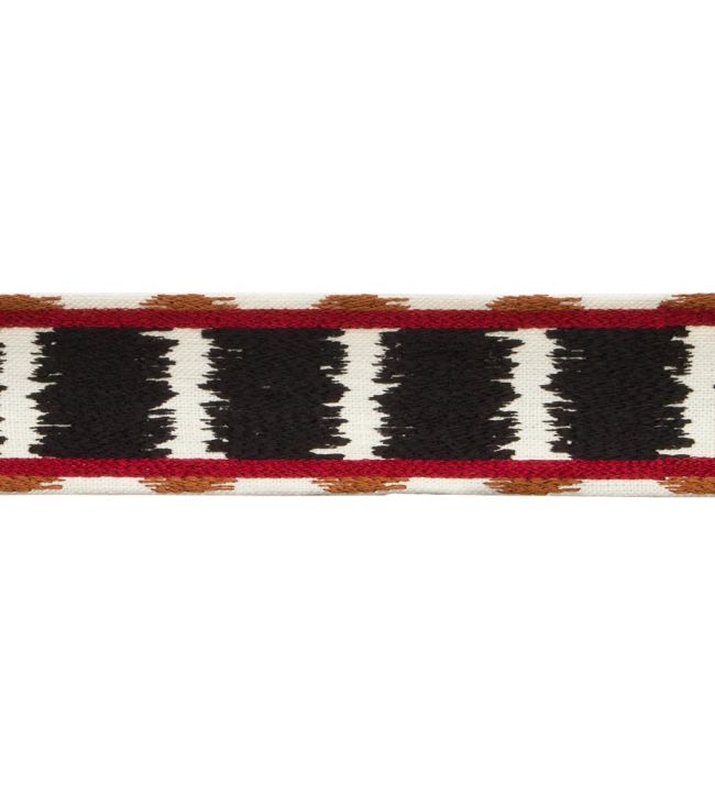 Taos Embroidered Border Trimming by Samuel & Sons Pinon