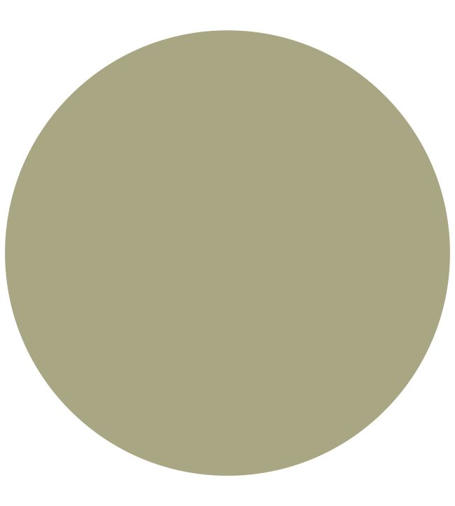 Tapestry Green 1829 Chalky Emulsion Paint by Craig & Rose Tapestry Green