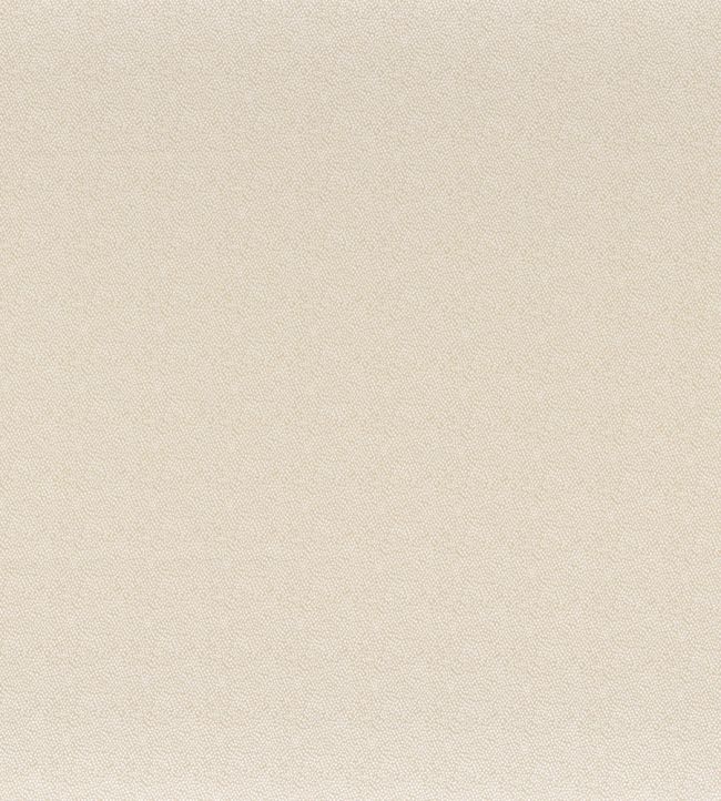 Tarana Fabric by Camengo Beige