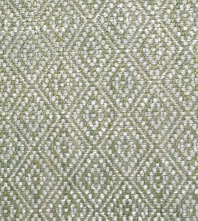 Tarsa Fabric by Ian Sanderson Lichen