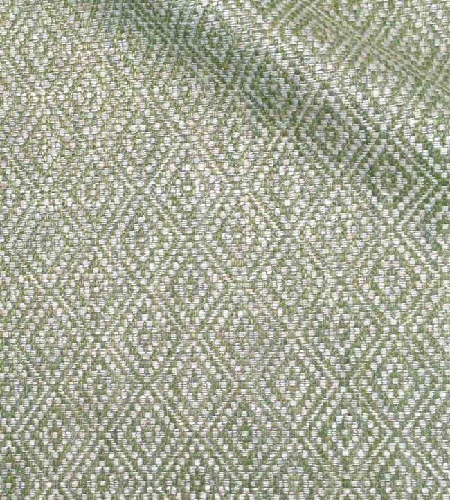 Tarsa Fabric by Ian Sanderson Lichen